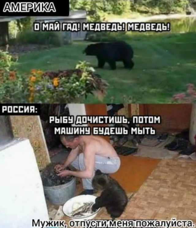 Очередной весёлый полтишок