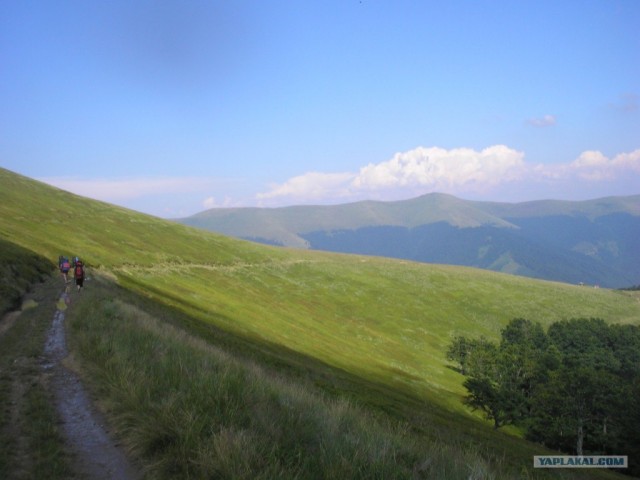 Карпаты 2011