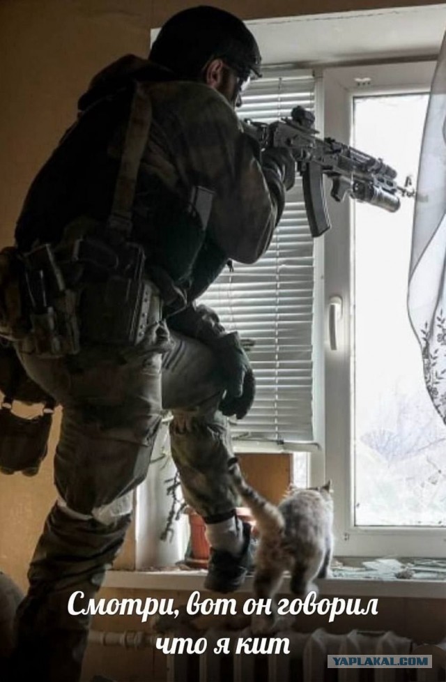 МистОр военный
