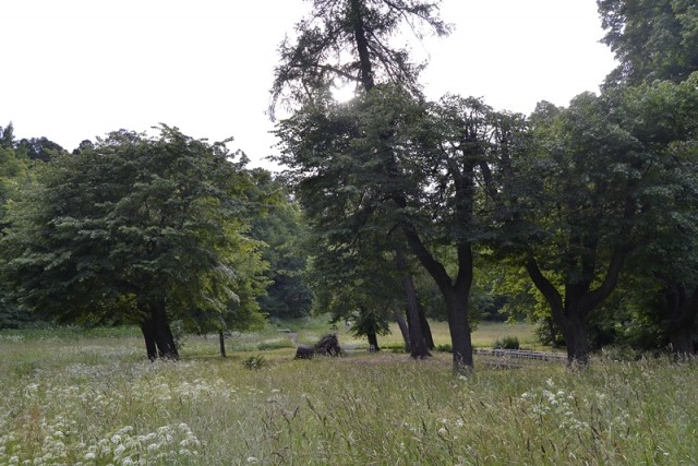 Поездка в Выборг