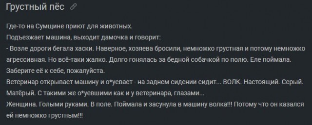 Народная меДИЧина 8.08