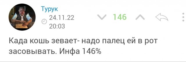 Оказывается, кошки зевают в присутствии нас — хозяев не просто так: 3 интересные причины