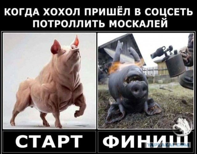 Прилет «Ланцета» и последствия от него