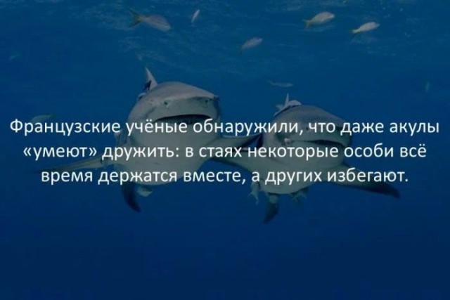 Немного картинок для настроения - 131