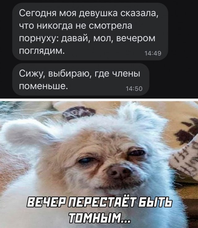 Картинки и мемы для настроения - 119