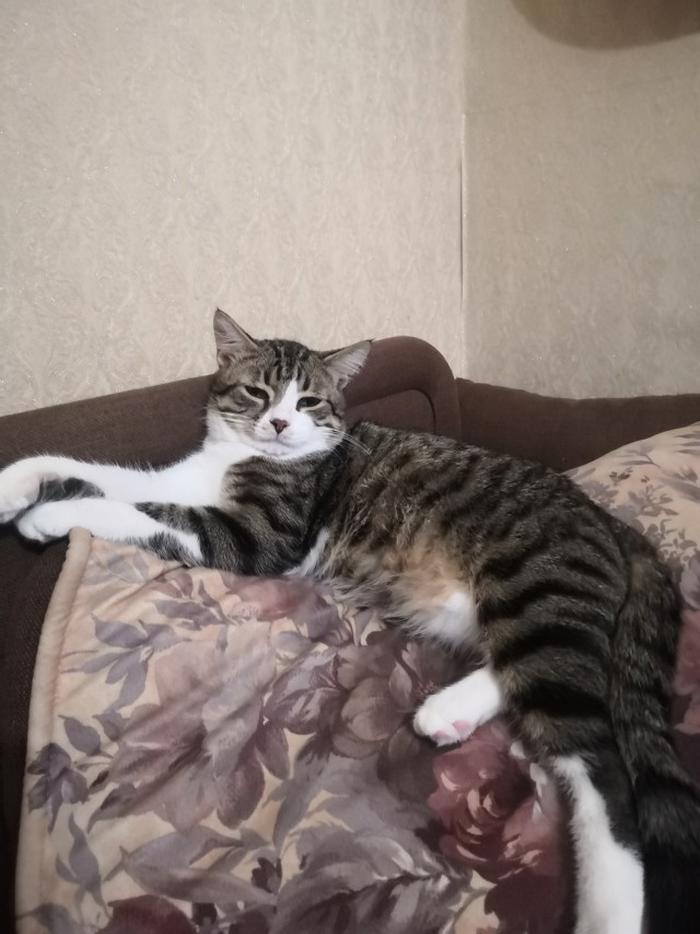 Даже не сомневался, что будет на фото