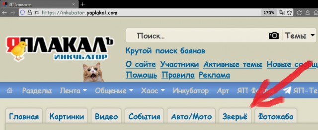 Нюансы с букой Ё.