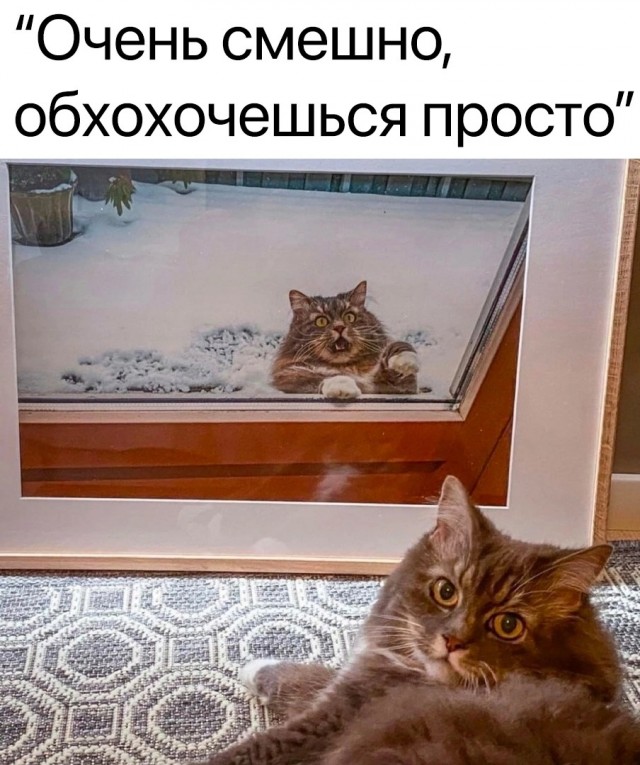 Весёлый полтишок 21.03.23