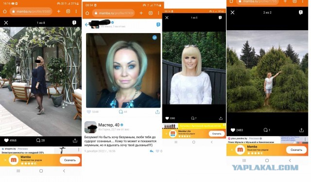 Почему бабы офигели