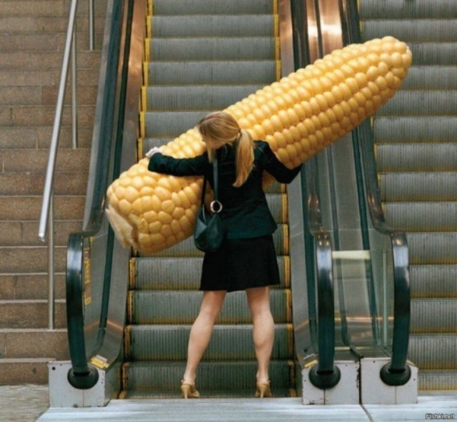 Дичь