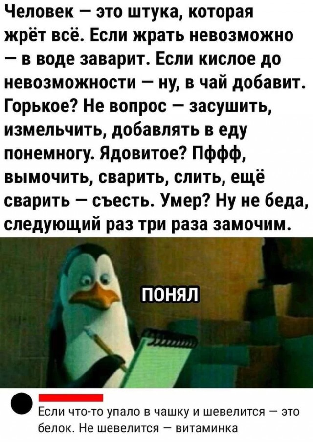 Забавные комментарии из социальных сетей 12.06.23