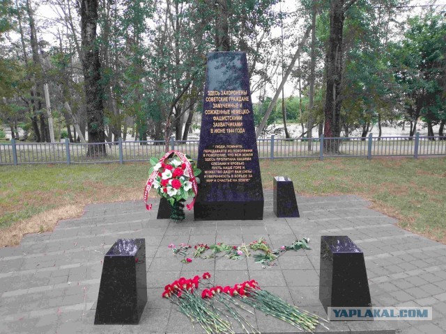 Беларусь. Июнь 2023
