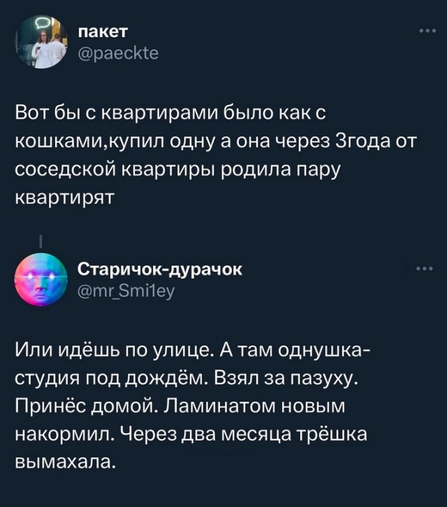 Весёлый полтишок 12.11.23