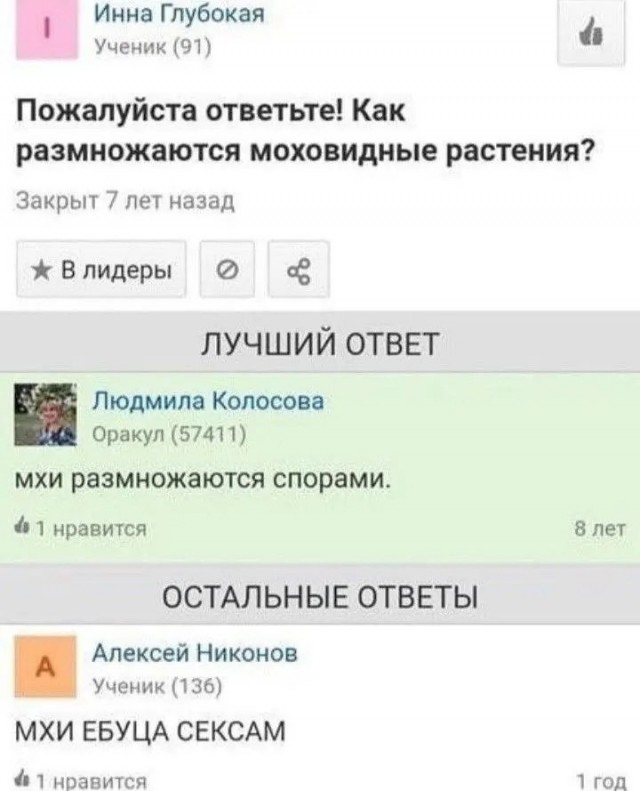 Всего понемногу. От 15.11.23