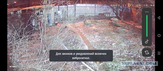 IP камера, муки выбора