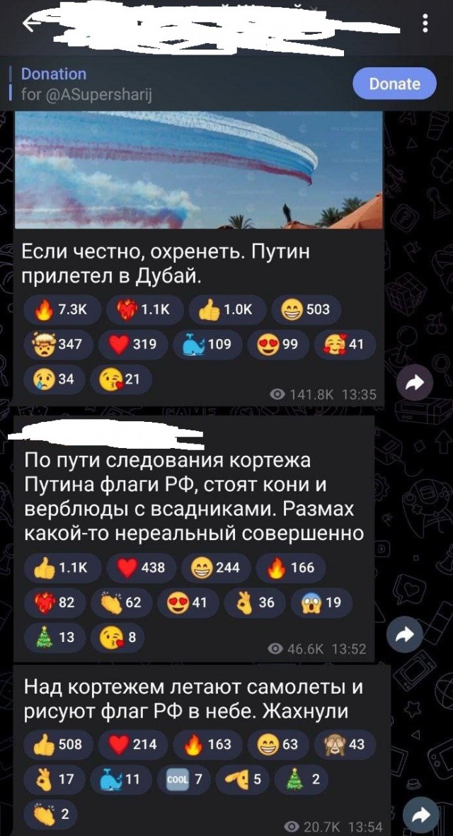 Так в ОАЭ встречают российскую делегацию
