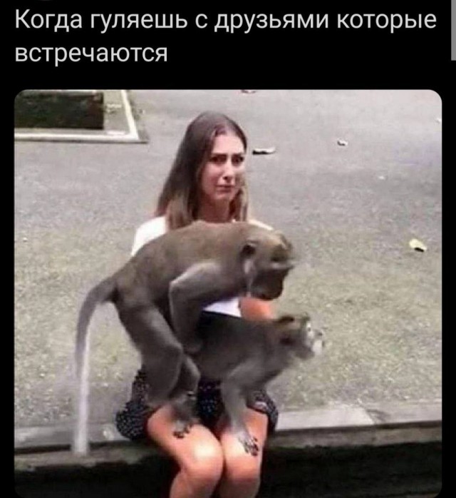 Пошло-тупые картинки