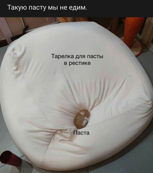 "Хотел освободить от бремени". Ушел муж после 30 лет брака