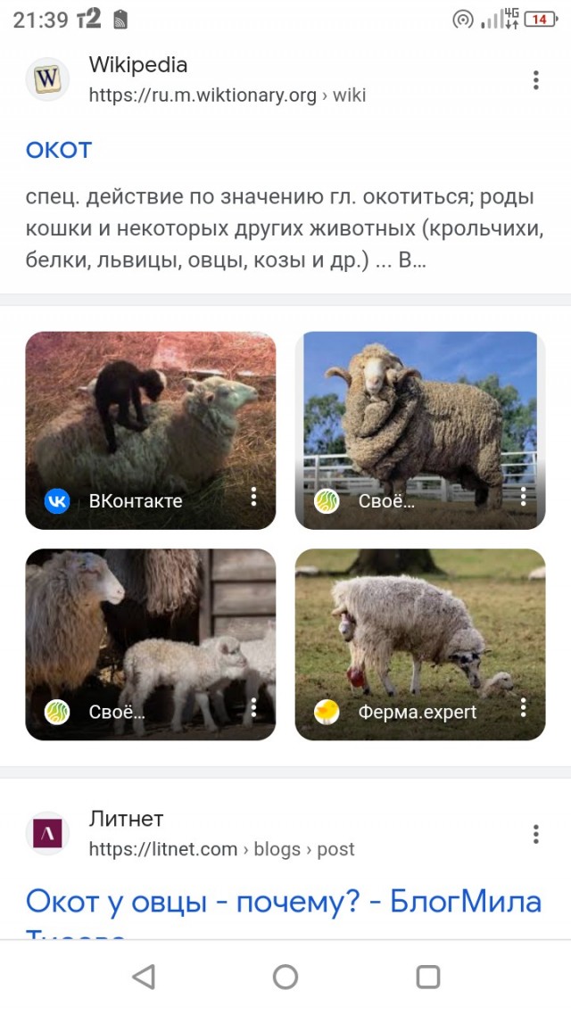 Веселая ферма: ягнёнок
