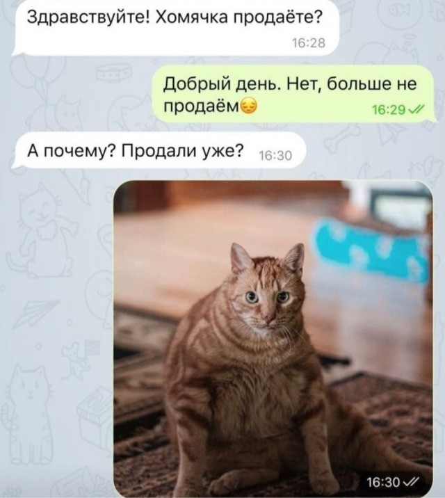 Никакие картинки и такие же тексты