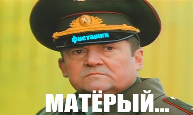 Кот маминой подруги