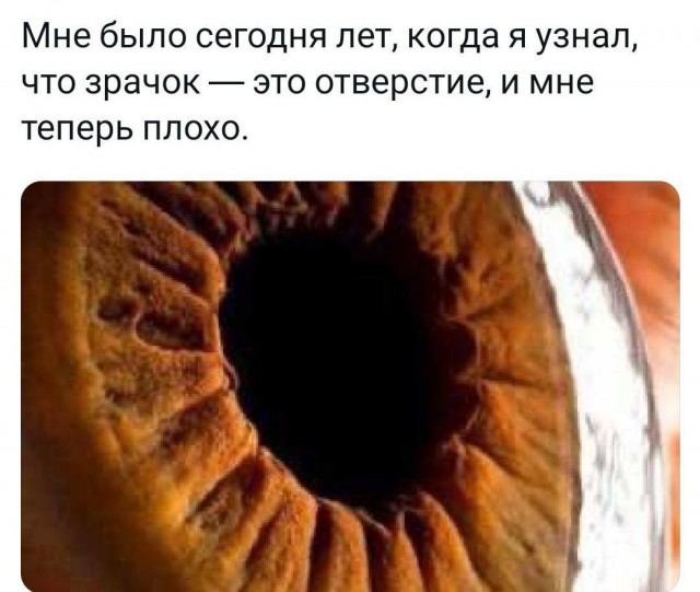 Всего понемногу. От 22.07.24