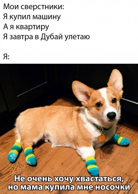 Заключительные баяны на этой неделе