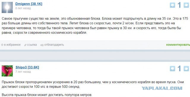 Так себе картинки 03.12.24