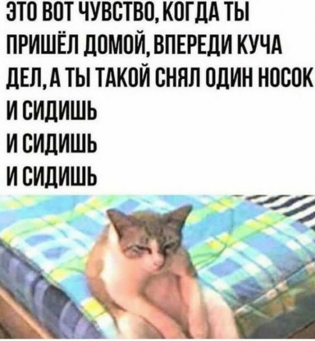 Ледяные игры