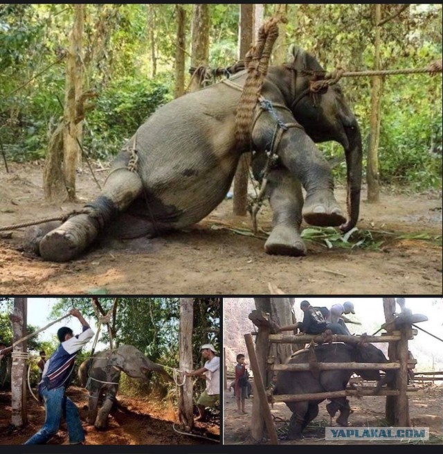 Бутан, таинственный Бутан