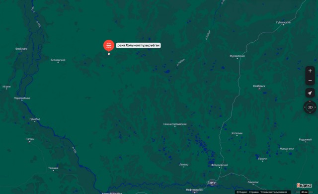 Так себе картинки 29.07.25