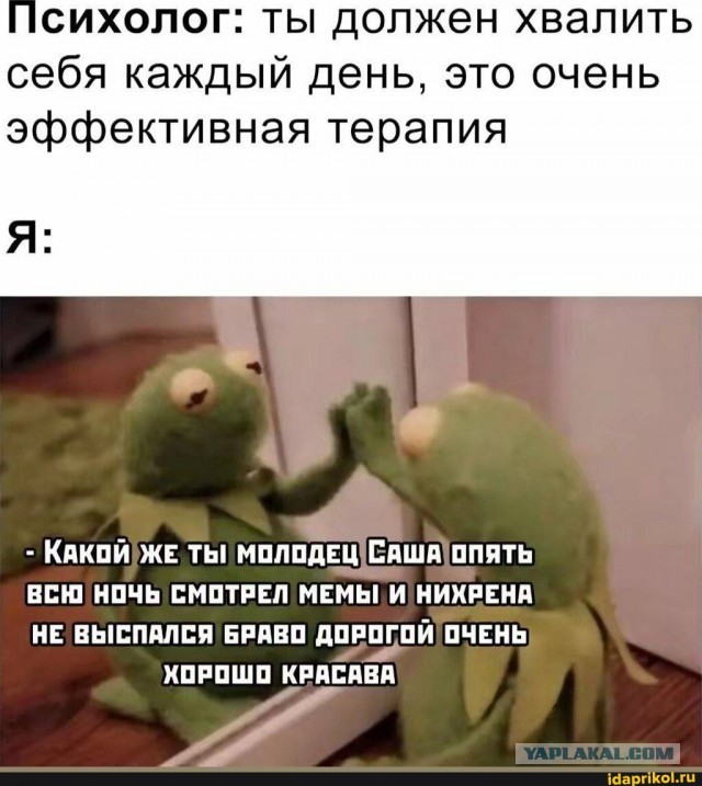 Веселое настроение в картинках (31.07.2025)