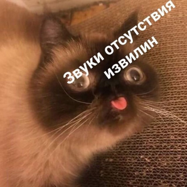 Картинки для деградации 46 (разной степени свежести)