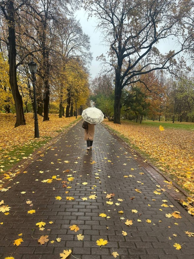 Вот такая красота у нас сегодня