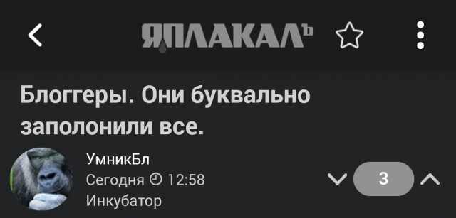 Блоггеры. Они буквально заполонили все.