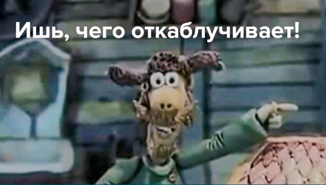 Блюграсс