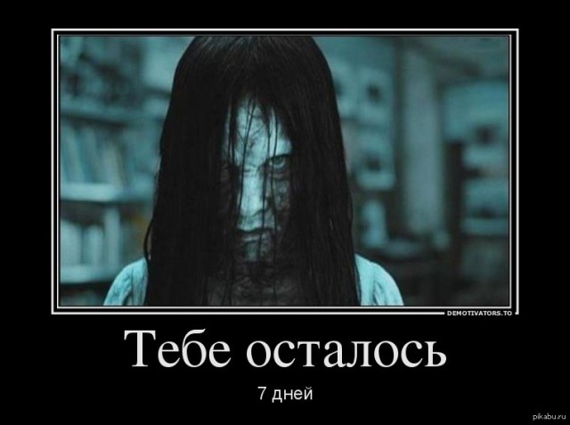 Звонок