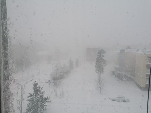 Апокалялпсис