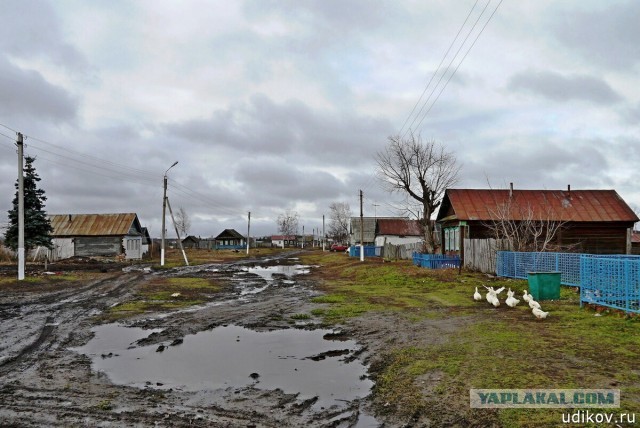 Эх, в деревню бы сейчас, а не вот это вот всё