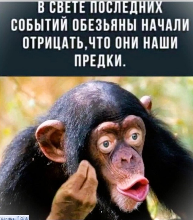 Первый, первый! Где второй? Приём!