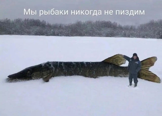Международный день рыбака