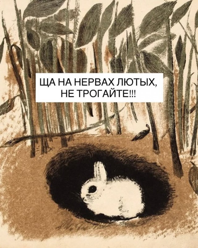 Картинки для деградации 235 (разной степени свежести)