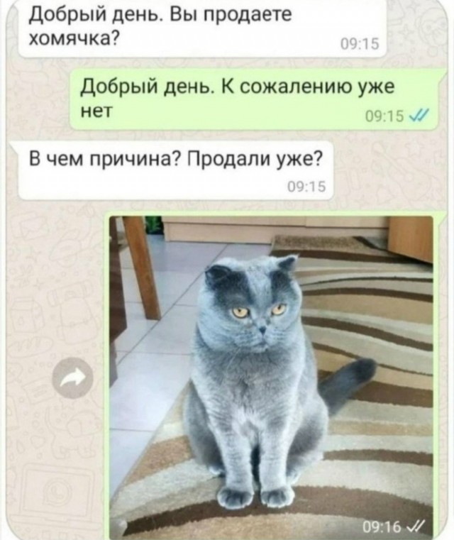 Веселые картинки в пятницу (18.09)