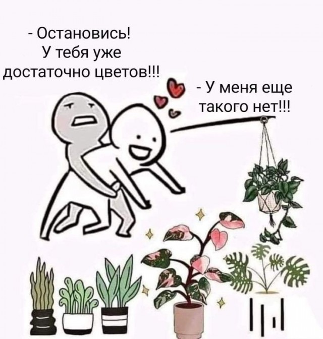Мозг утерян безвозвратно, мы танцуем прикроватно!