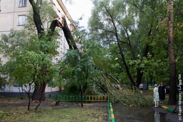 Последствия урагана в Лефортово