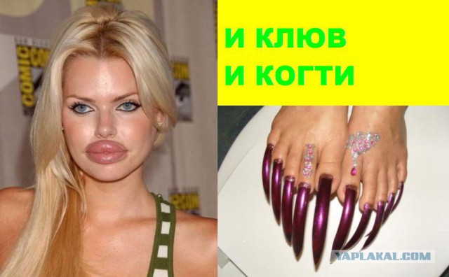 Попугай - убийца овец