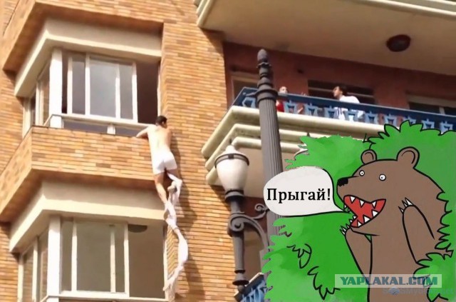 Медведи почти на все случаи жизни