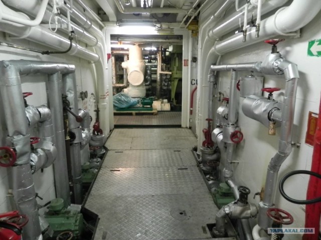 m/v "GEMINI"