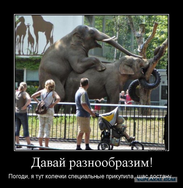Смешное из сети #2