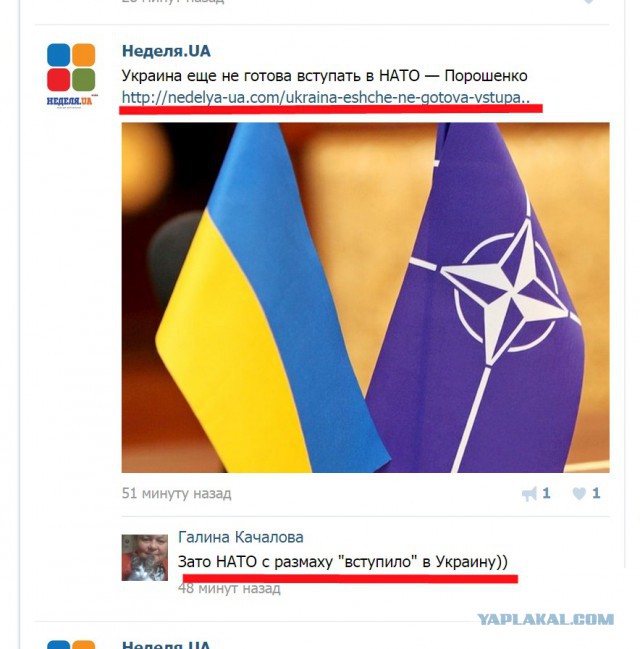 Сайты украинцев. Украина не вступит в НАТО. Украина готова вступить в НАТО. Сайты Украины. Украинские сайты.